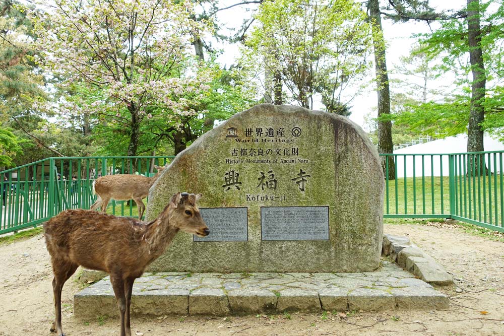 「世界遺産　興福寺」の石碑